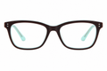 Runway Couture Eyewear 289 - Tortoise/Mint